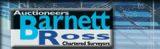 Barnett Ross